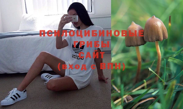 прущая мука Сосновка