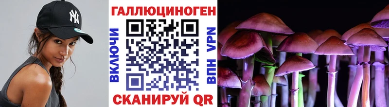 Псилоцибиновые грибы GOLDEN TEACHER  магазин    Клин 